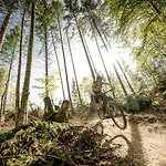 Отель Arlbergerhof Vital 3*