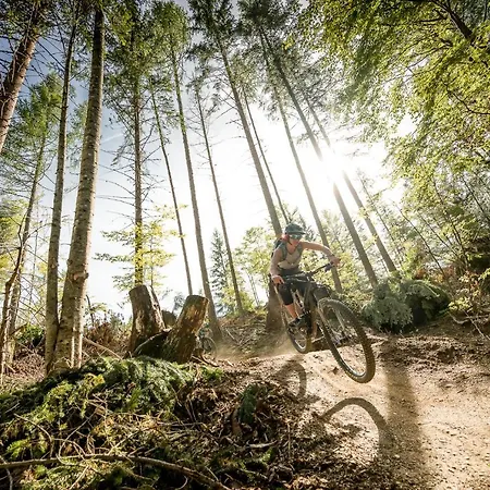 Hotel Arlbergerhof Vital 3*