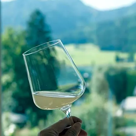 فندق Arlbergerhof Vital 3*